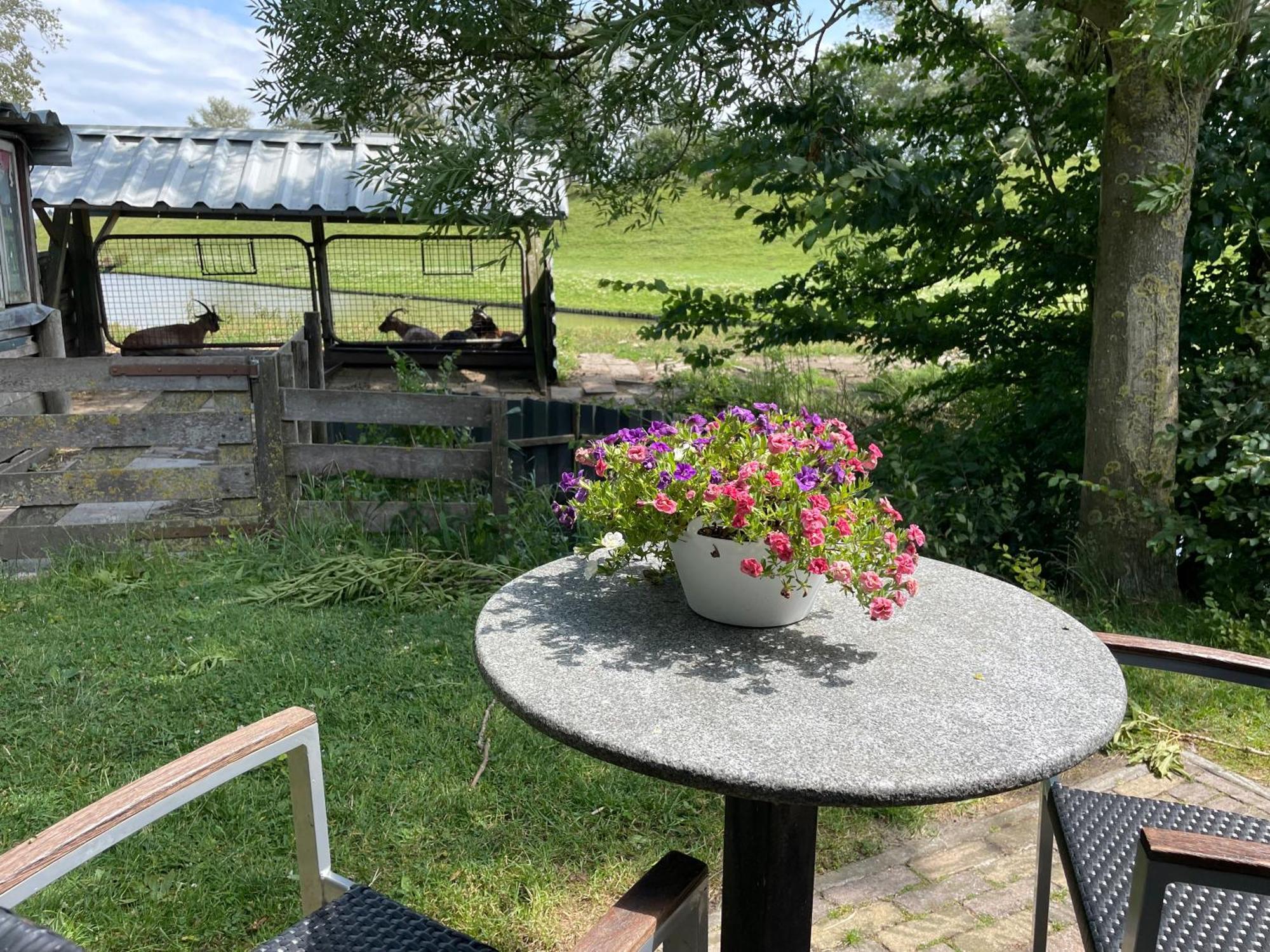 Hotelhuisjes Oosterleek Bagian luar foto